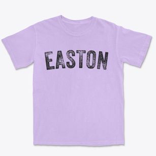 Easton Missouri Timeless Retro Premium Heavyweight T-shirt