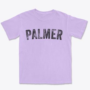 Palmer Illinois Timeless Retro Premium Heavyweight T-shirt