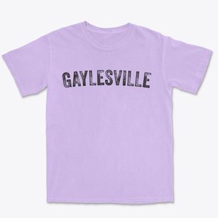 Gaylesville Alabama Timeless Retro Premium Heavyweight T-shirt