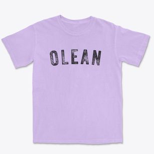 Olean Missouri Timeless Retro Premium Heavyweight T-shirt