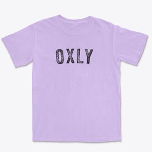 Oxly Missouri Timeless Retro Premium Heavyweight T-shirt