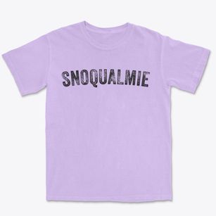Snoqualmie Washington Timeless Retro Premium Heavyweight T-shirt