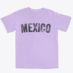 Mexico Missouri Timeless Retro Premium Heavyweight T-shirt