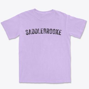 Saddlebrooke Arizona Timeless Retro Premium Heavyweight T-shirt
