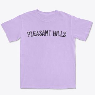 Pleasant Hills Pennsylvania Timeless Retro Premium Heavyweight T-shirt