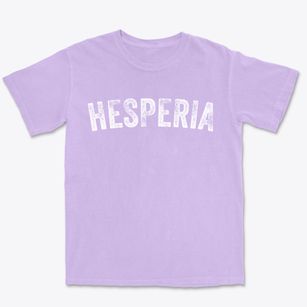 Hesperia Michigan Timeless Retro Premium Heavyweight T-shirt