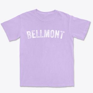 Bellmont Illinois Timeless Retro Premium Heavyweight T-shirt