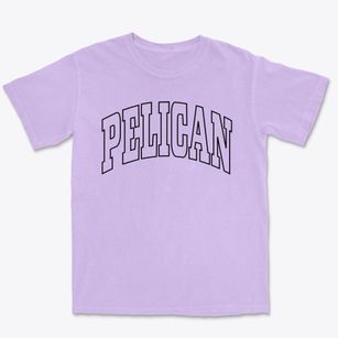 Pelican Wisconsin Trendy Block Premium Heavyweight T-shirt