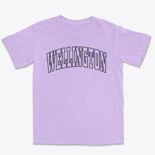 Wellington Missouri Trendy Block Premium Heavyweight T-shirt
