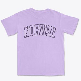 Norway New York Trendy Block Premium Heavyweight T-shirt