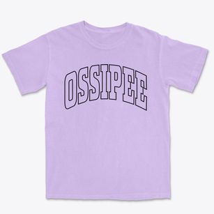 Ossipee North Carolina Trendy Block Premium Heavyweight T-shirt