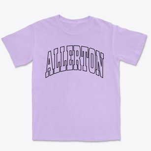 Allerton Iowa Trendy Block Premium Heavyweight T-shirt