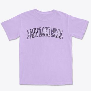 Penn Lake Park Pennsylvania Trendy Block Premium Heavyweight T-shirt