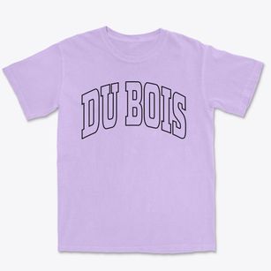 Du Bois Illinois Trendy Block Premium Heavyweight T-shirt