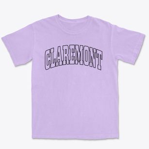 Claremont New Hampshire Trendy Block Premium Heavyweight T-shirt