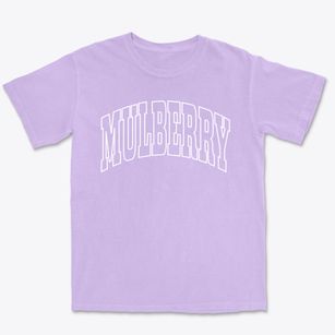Mulberry North Carolina Trendy Block Premium Heavyweight T-shirt