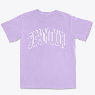 Seymour Indiana Trendy Block Premium Heavyweight T-shirt
