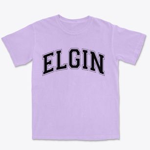 Elgin Illinois Varsity Premium Heavyweight T-shirt