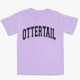Ottertail Minnesota Varsity Premium Heavyweight T-shirt