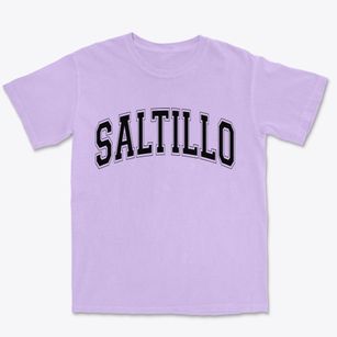Saltillo Pennsylvania Varsity Premium Heavyweight T-shirt