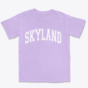 Skyland Nevada Varsity Premium Heavyweight T-shirt