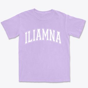Iliamna Alaska Varsity Premium Heavyweight T-shirt