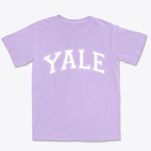 Yale Illinois Varsity Premium Heavyweight T-shirt
