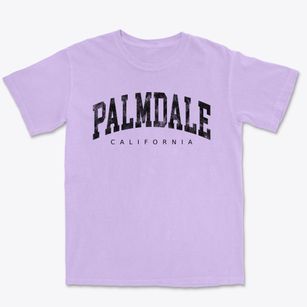 Palmdale California Urban Vibe Premium Heavyweight T-shirt