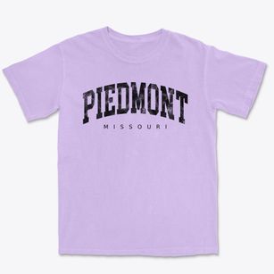 Piedmont Missouri Urban Vibe Premium Heavyweight T-shirt