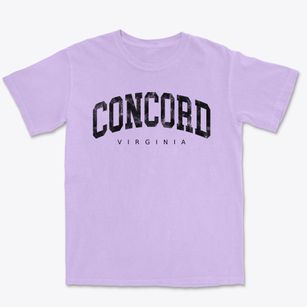 Concord Virginia Urban Vibe Premium Heavyweight T-shirt
