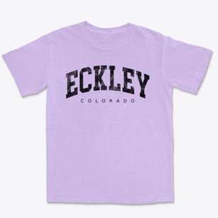 Eckley Colorado Urban Vibe Premium Heavyweight T-shirt
