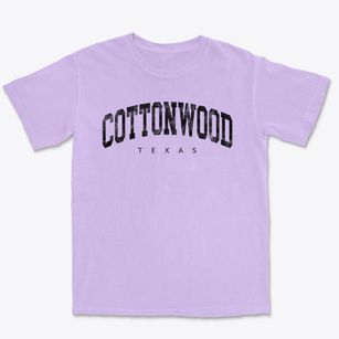 Cottonwood Texas Urban Vibe Premium Heavyweight T-shirt