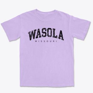 Wasola Missouri Urban Vibe Premium Heavyweight T-shirt
