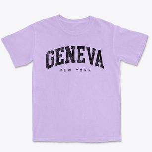 Geneva New York Urban Vibe Premium Heavyweight T-shirt