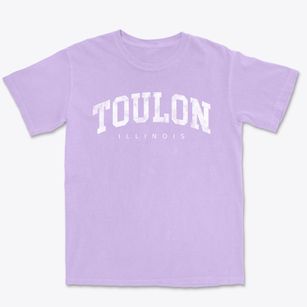 Toulon Illinois Urban Vibe Premium Heavyweight T-shirt