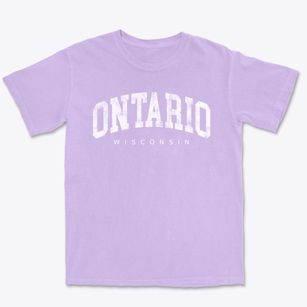 Ontario Wisconsin Urban Vibe Premium Heavyweight T-shirt