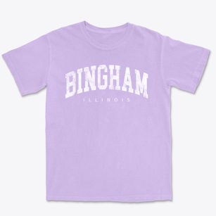 Bingham Illinois Urban Vibe Premium Heavyweight T-shirt