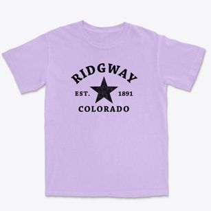 Ridgway Colorado Star Premium Heavyweight T-shirt