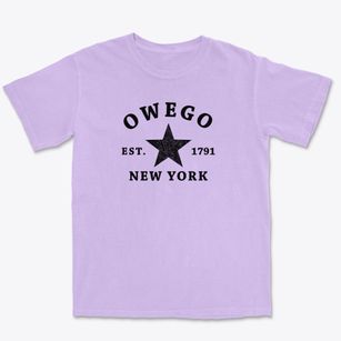 Owego New York Star Premium Heavyweight T-shirt