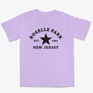 Roselle Park New Jersey Star Premium Heavyweight T-shirt