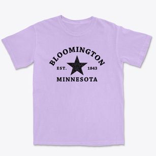 Bloomington Minnesota Star Premium Heavyweight T-shirt