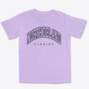 North Deland Florida Inline Premium Heavyweight T-shirt