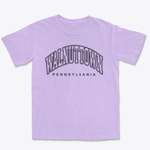 Walnuttown Pennsylvania Inline Premium Heavyweight T-shirt