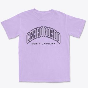 Cerro Gordo North Carolina Inline Premium Heavyweight T-shirt