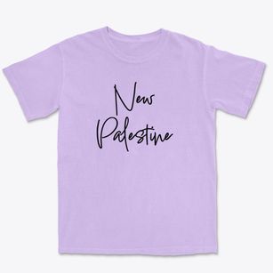 New Palestine Illinois Freestyle Premium Heavyweight T-shirt
