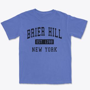 Brier Hill New York Classic Established Premium Heavyweight T-shirt