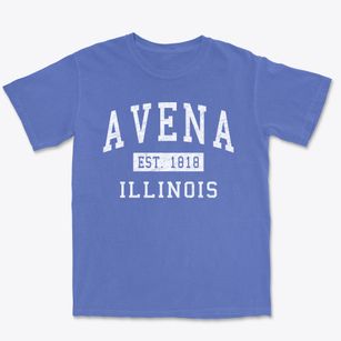 Avena Illinois Classic Established Premium Heavyweight T-shirt