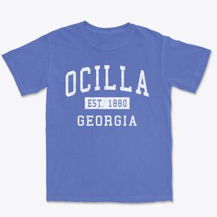 Ocilla Georgia Classic Established Premium Heavyweight T-shirt