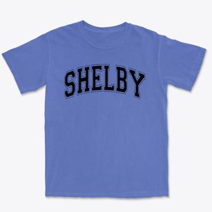 Shelby Elementary School Varsity Arch Premium Heavyweight T-shirt