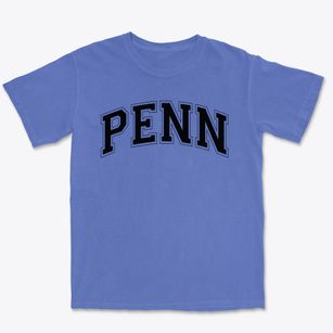 Penn Christian Academy Varsity Arch Premium Heavyweight T-shirt